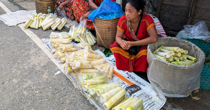 বান্দরবানে বাড়ছে বাঁশ কোড়লোর চাহিদা 