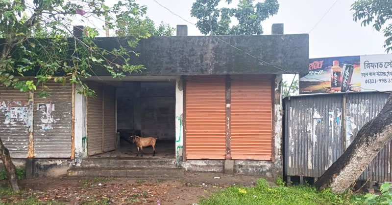 ছবি : প্রতিনিধি