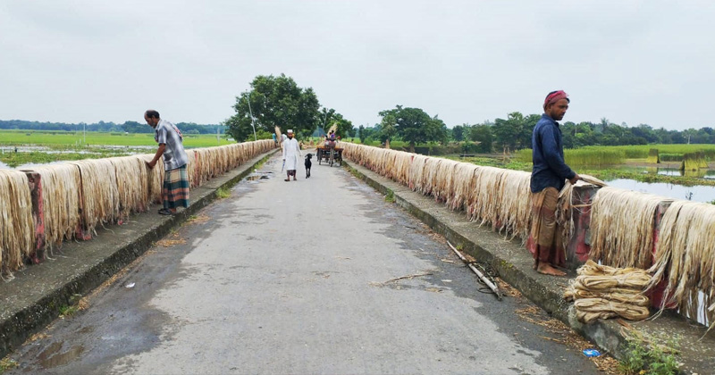 ছবি : খোলা কাগজ