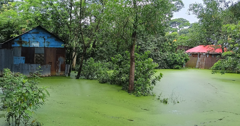 ছবি : প্রতিনিধি