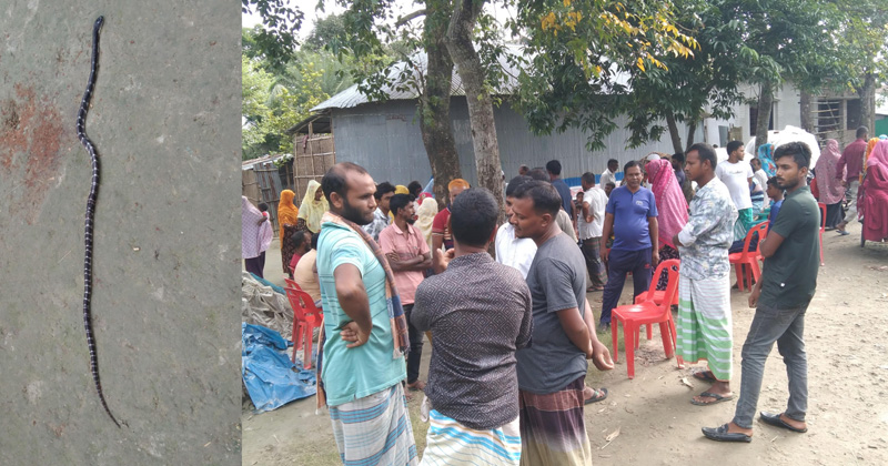 ছবি : প্রতিনিধি