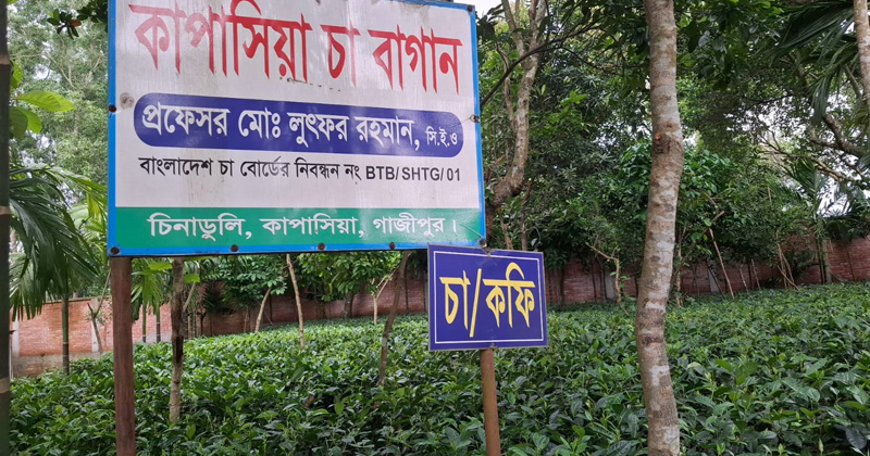 ছবি : প্রতিনিধি