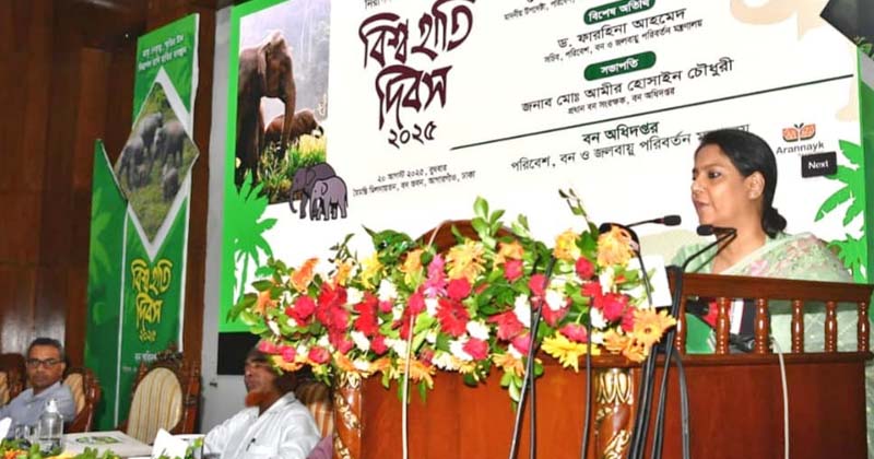 ছবি : খোলা কাগজ