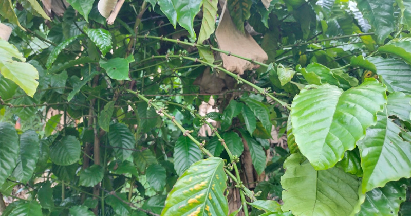 ছবি : প্রতিনিধি