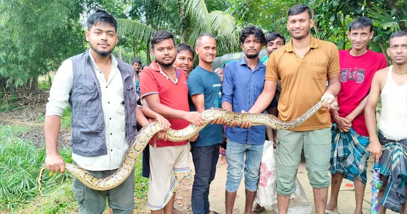 ছবি : খোলা কাগজ