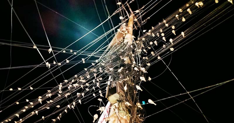 ছবি : খোলা কাগজ