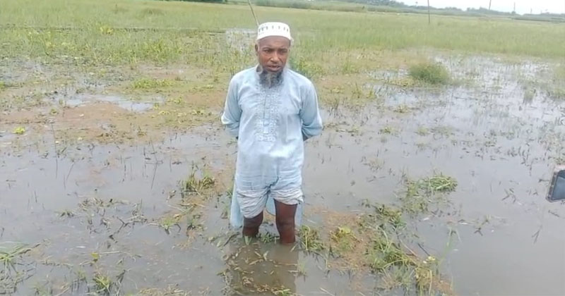 ছবি : খোলা কাগজ