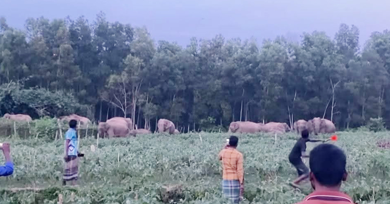 ছবি : প্রতিনিধি
