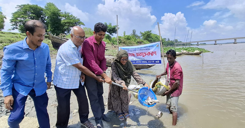 সোনাগাজী নদী ও উম্মুক্ত জলাশয়ে মাছের পোনা অবমুক্ত