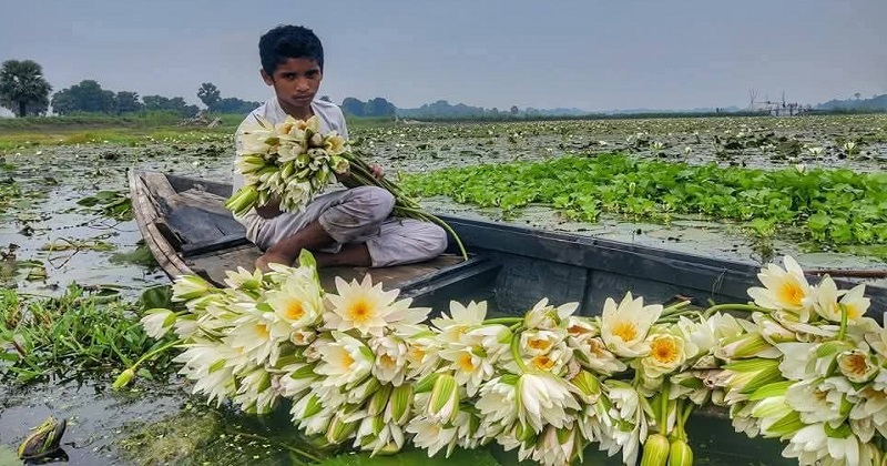 ছবি : প্রতিনিধি