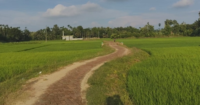 ছবি : প্রতিনিধি