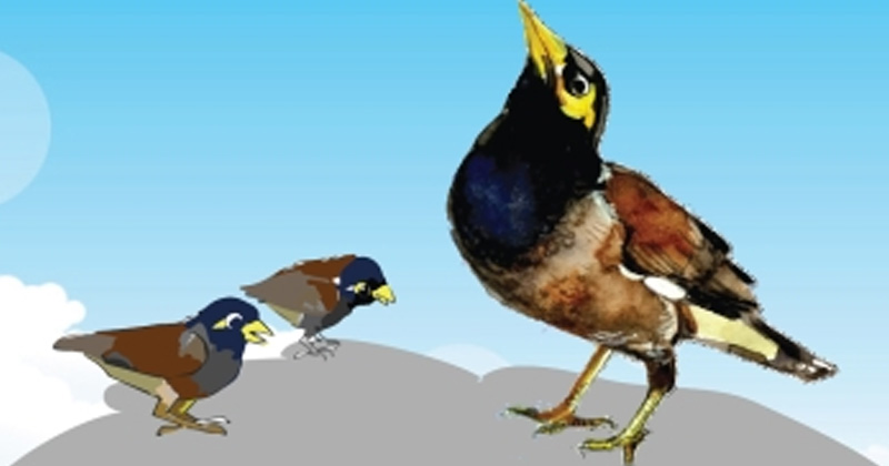 সংগৃহীত ছবি