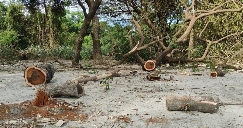 ছবি : খোলা কাগজ