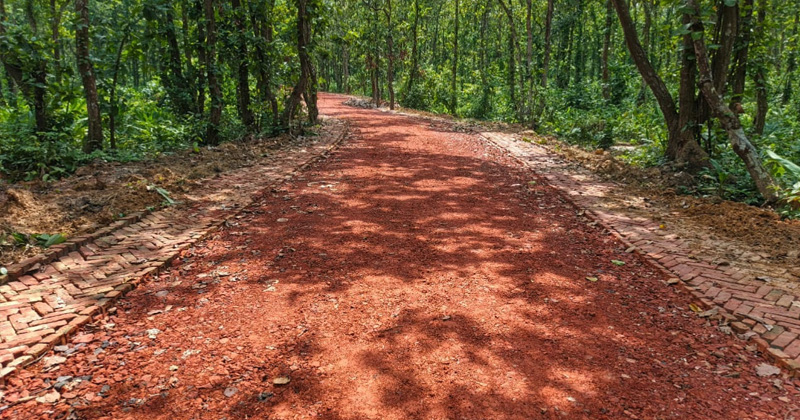 সংগৃহীত ছবি
