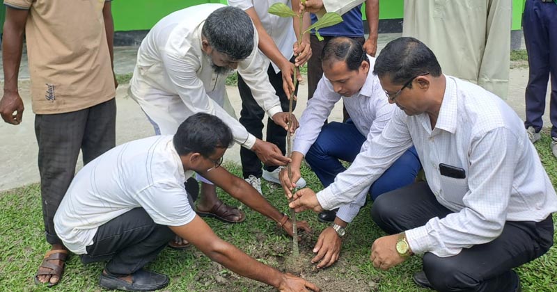 ছবি: প্রতিনিধি