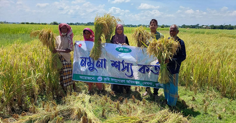 আউশ আবাদে নতুন সম্ভাবনার দ্বার খুলছে মেঘনায়