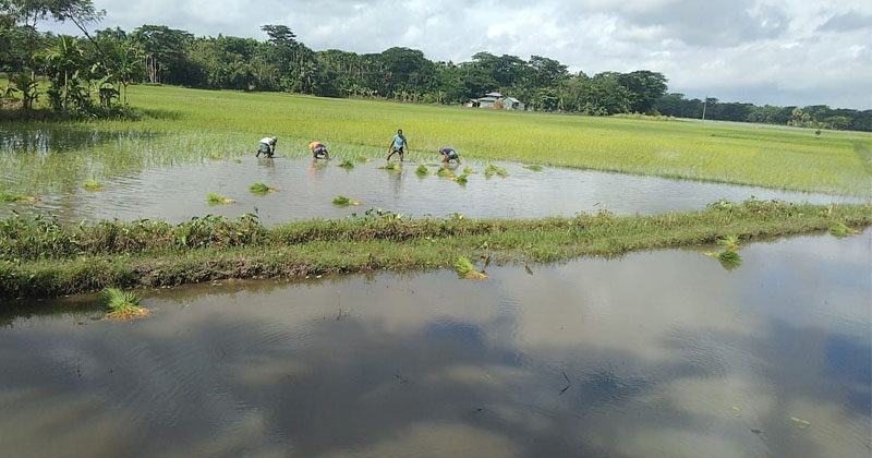 ছবি: প্রতিনিধি