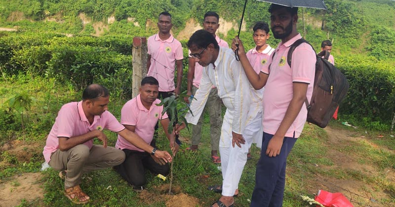 পরিবেশ রক্ষায় অনন্য দৃষ্টান্ত স্থাপন বৃক্ষপ্রেমী চা শ্রমিকের