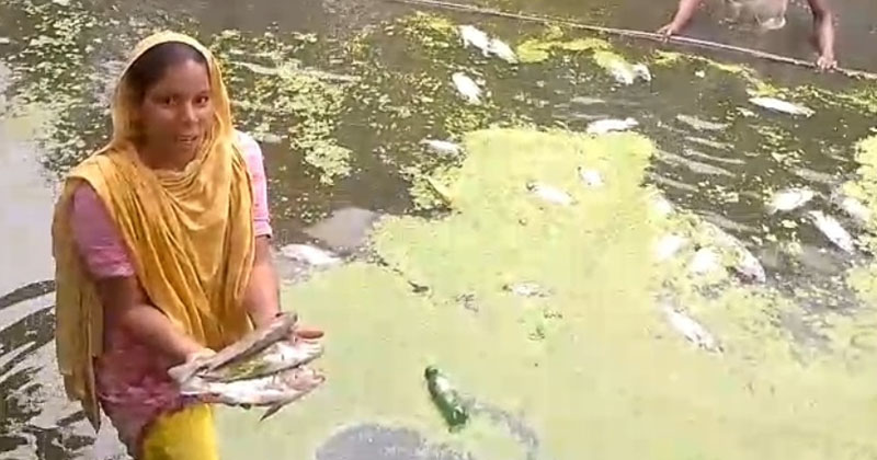 ছবি: প্রতিনিধি