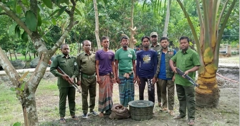 ছবি: প্রতিনিধি