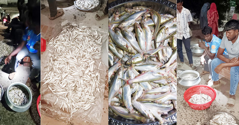 ছবি: প্রতিনিধি