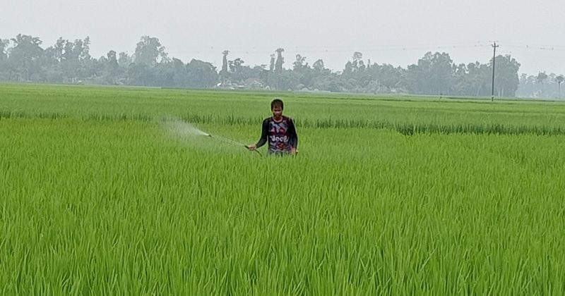 ছবি: প্রতিনিধি