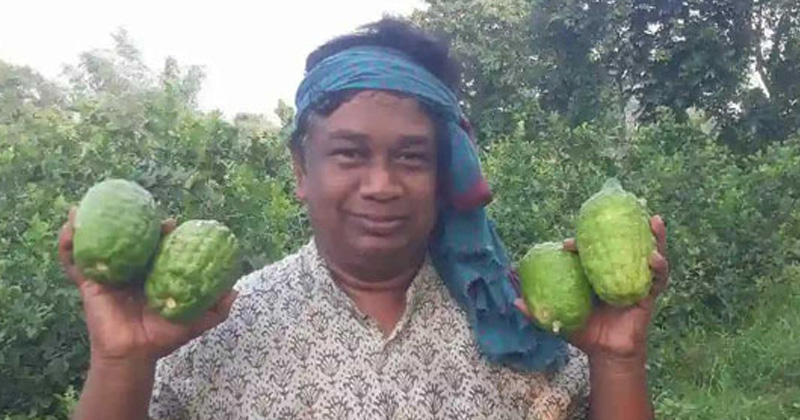 লেবুতে সোনালী সাফল্য: শিক্ষক মামুন এখন কৃষি ব্র্যান্ড