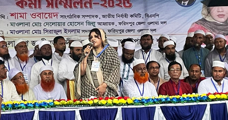 ছবি : খোলা কাগজ