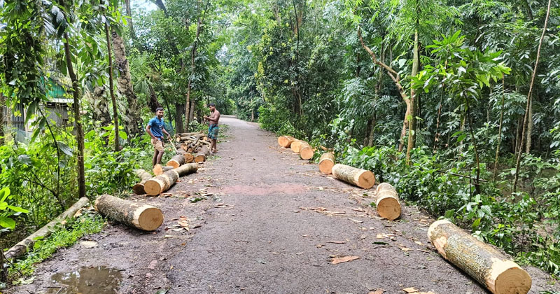 ছবি: প্রতিনিধি