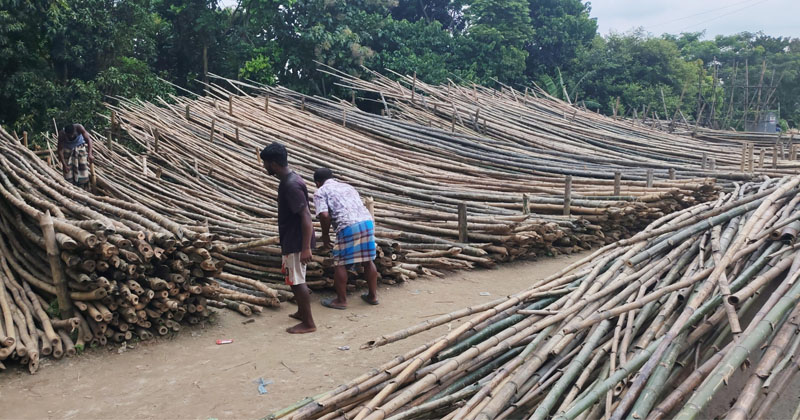 ছবি: প্রতিনিধি
