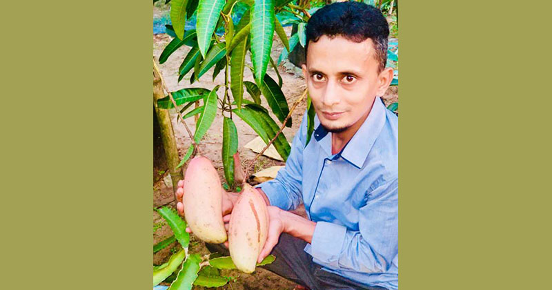৫০ জাতের আম ২০ জাতের আঙুর, শখের বাগানে সাড়া ফেলেছেন রেজাউল করিম
