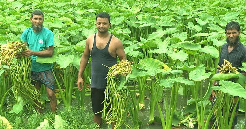 ছবি: প্রতিনিধি