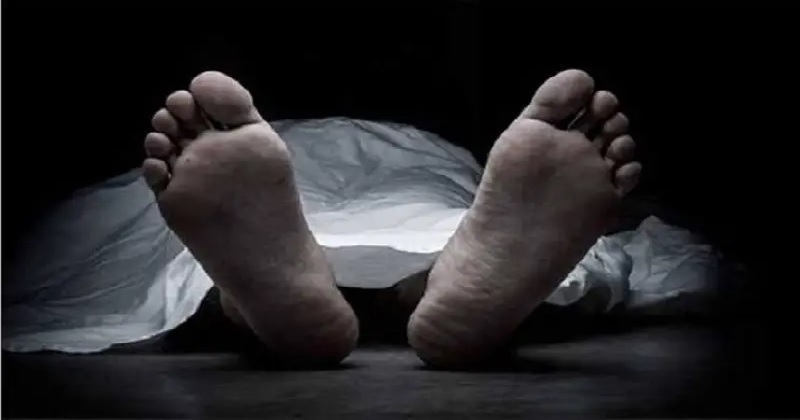 ইসলামপুরে সাপের কামড়ে শিশুর মৃত্যু