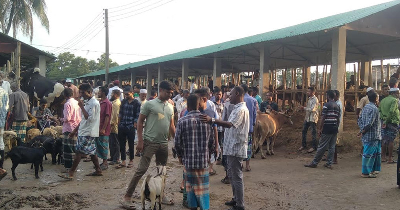 জুড়ীতে ইজারা না হওয়ায় কোটি টাকার রাজস্ব হারাচ্ছে সরকার