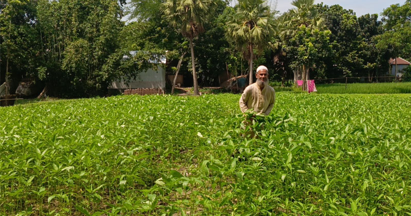 ছবি: প্রতিনিধি
