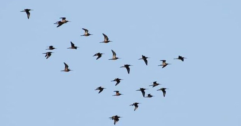 প্রতীকী ছবি