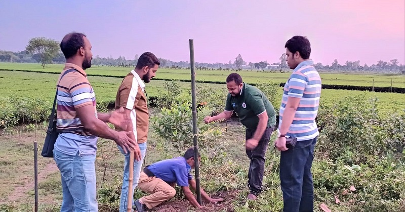 তেঁতুলিয়ায় বিশ্ব পর্যটন দিবসে শোভা বর্ধনকারী বৃক্ষরোপণ