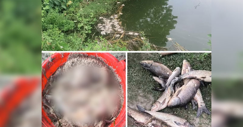 ছবি: প্রতিনিধি