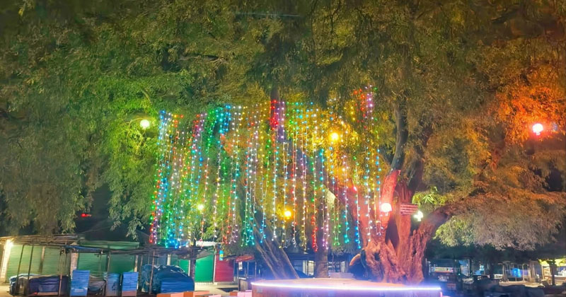 ছবি: প্রতিনিধি