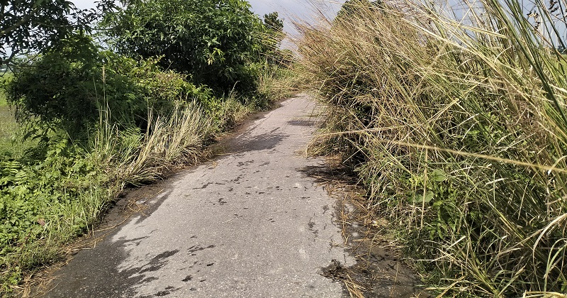 ছবি: প্রতিনিধি