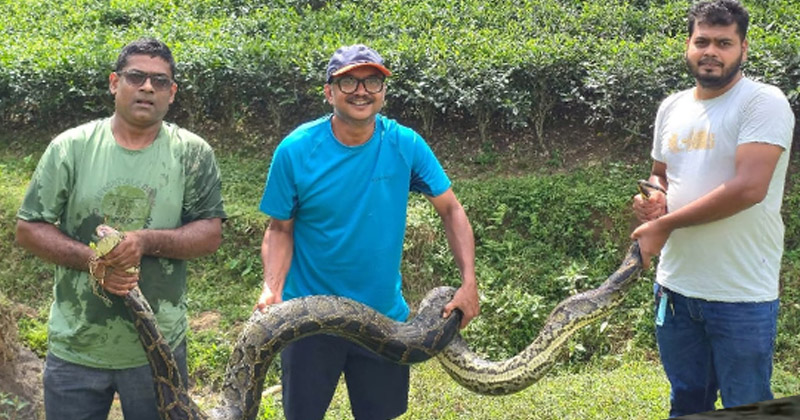 ছবি: প্রতিনিধি