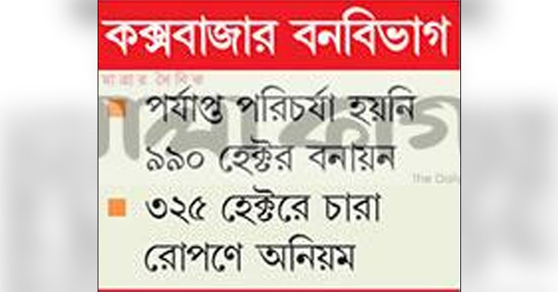 ছবি: খোলা কাগজ