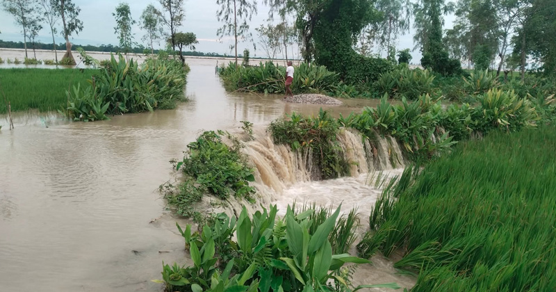 ছবি : খোলা কাগজ