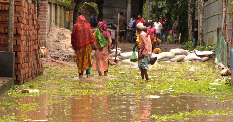 ছবি : খোলা কাগজ