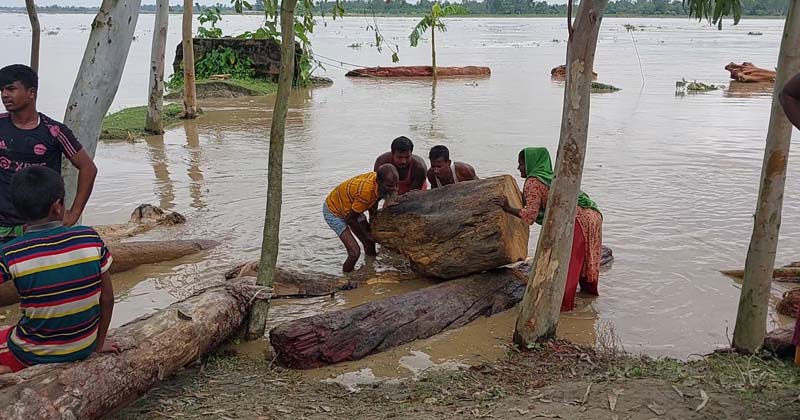 উজান থেকে ভেসে এল কাঠ, মাছ আর সাপ— দুধকুমারে স্রোতে নিখোঁজ এক