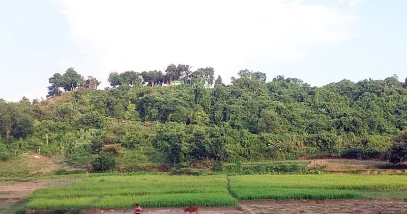 সংগৃহীত ছবি