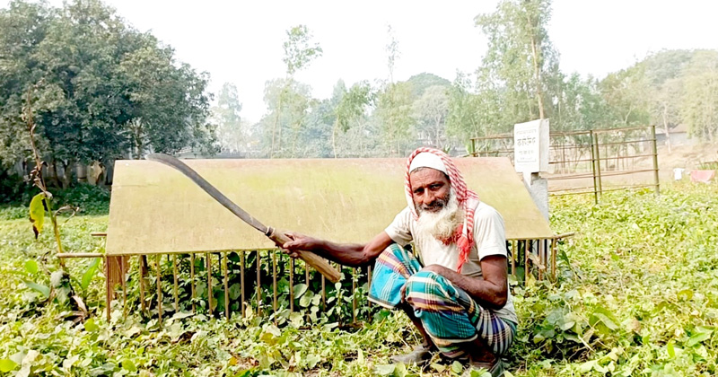 দুই হাজারেরও বেশি কবর খোঁড়া খালেকের জীবনগাথা