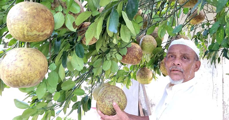ছবি: প্রতিনিধি
