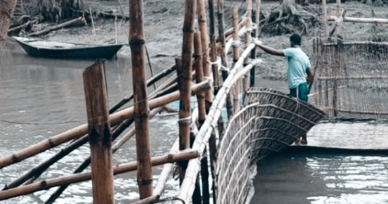 খালে বাঁধ দিয়ে মাছ শিকার, যুবদল নেতার কারাদণ্ড