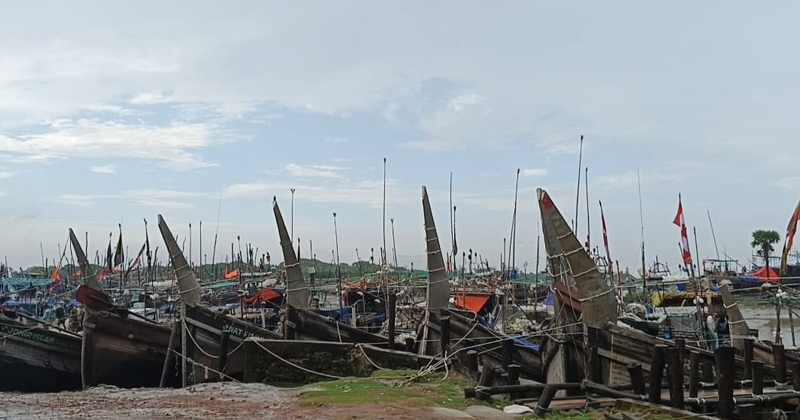 ইলিশ শিকারে ২২ দিনের নিষেধাজ্ঞা, কর্মহীন চার শ্রেণি পেশার মানুষ